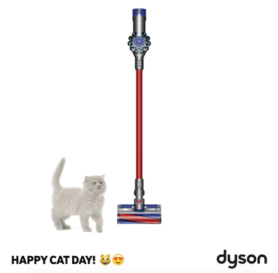Cs, CAREservice dyson-v6-happy-cat-day Dyson V6 - Happy cat Day [video] Dyson V6  V6  